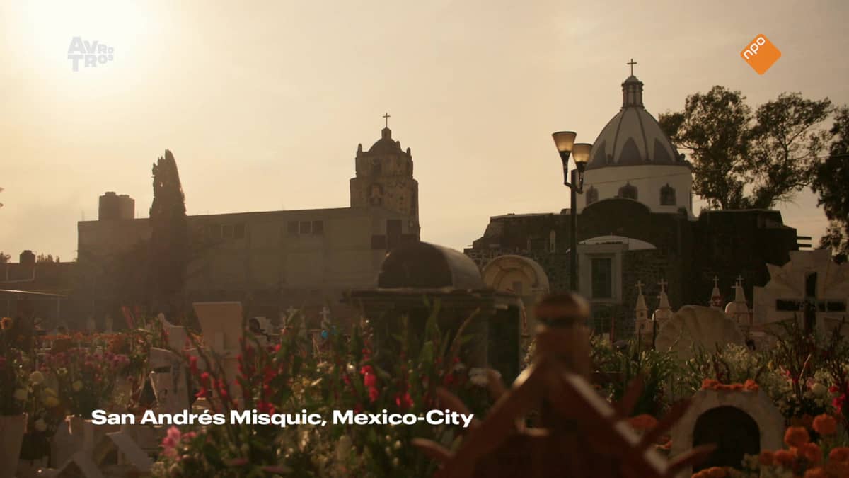 Krabbé zoekt Kahlo NPO Start