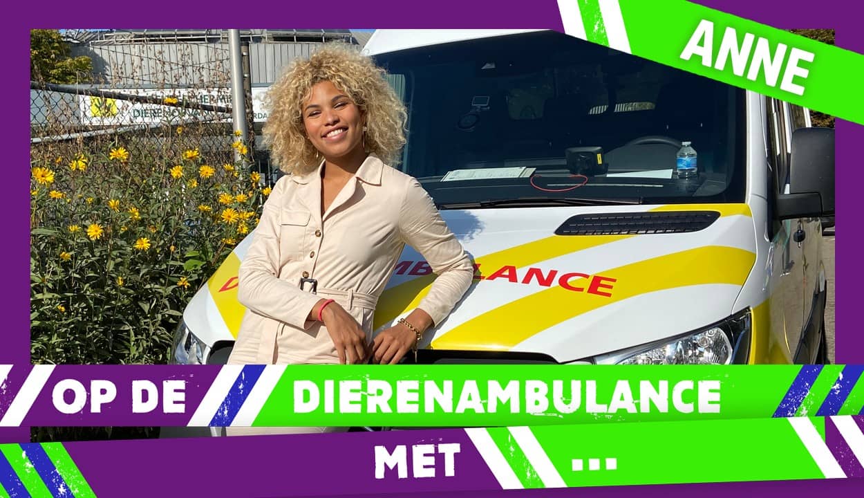 Anne Appelo | NPO Start