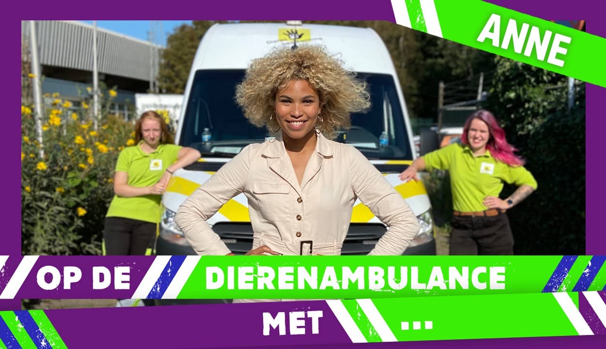 Anne Appelo | NPO Start