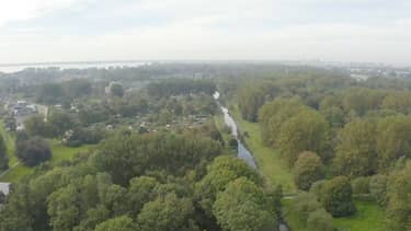 Vroege vogels