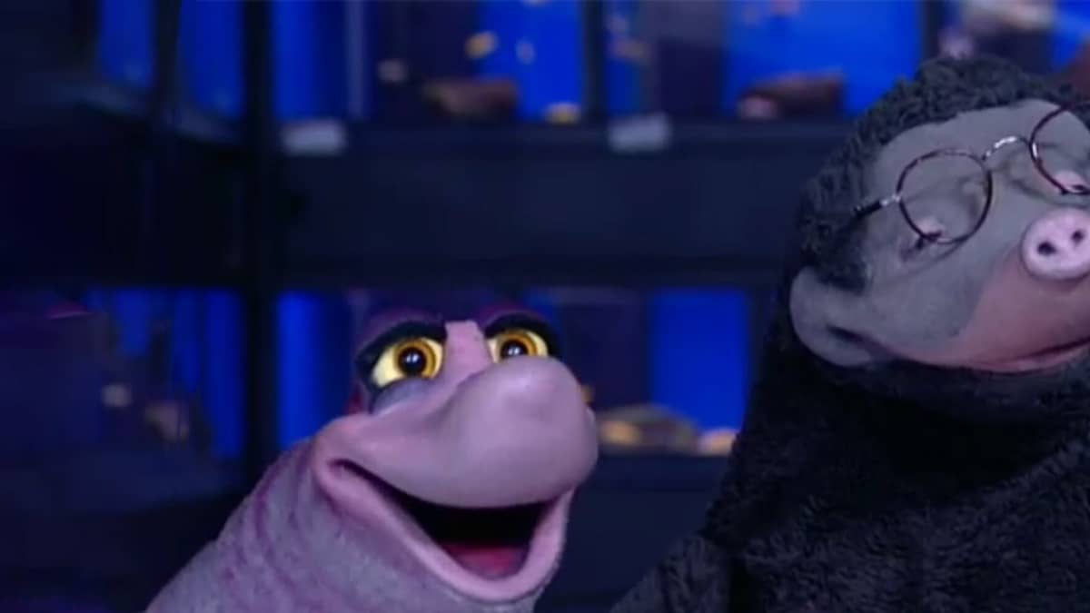 Taal met Moffel en Pier | NPO Start