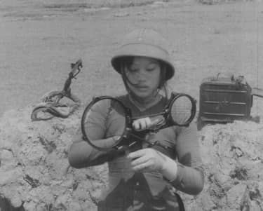 Vietnam, de wording van een land