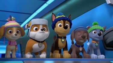 Paw Patrol