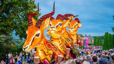 Bloemencorso
