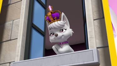 Paw Patrol