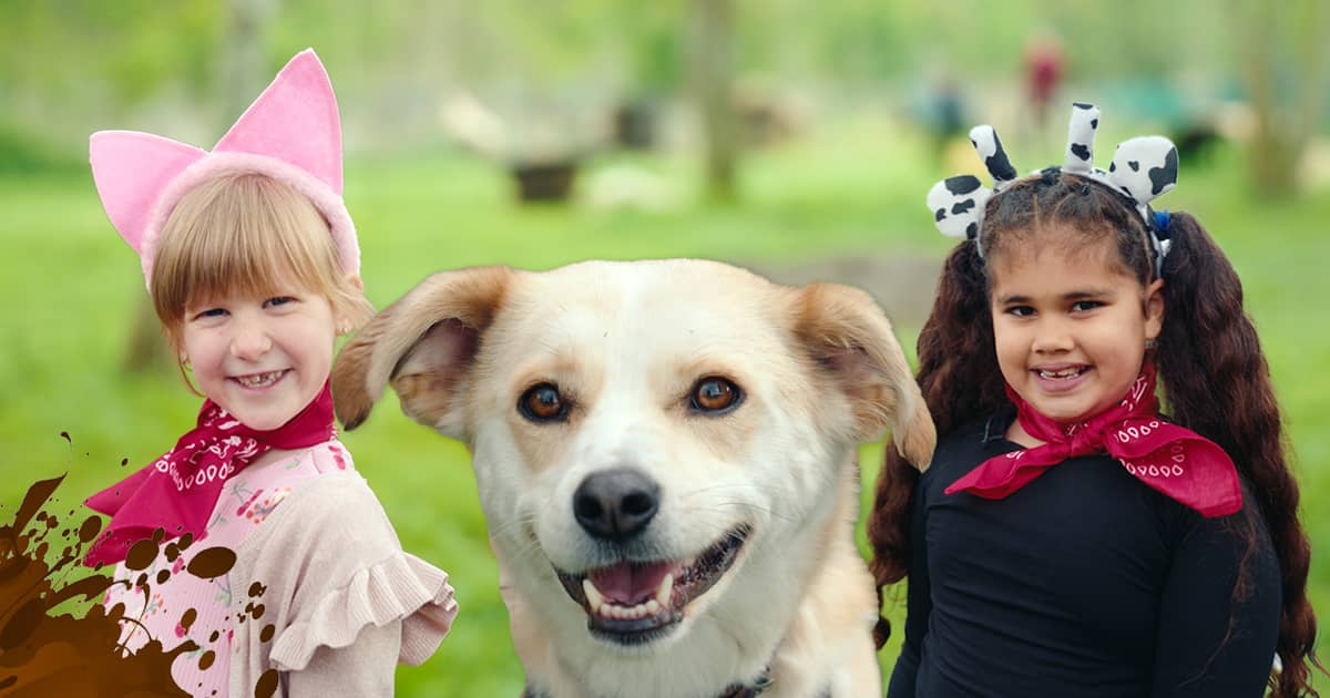 Kinderboerderij Dier en Wij... - Kinderboerderij Dier en Wij