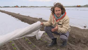 Het klokhuis