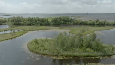 Klik hier om Vroege vogels van 7 september te bekijken.