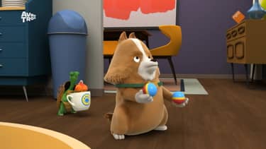 Agent Binky