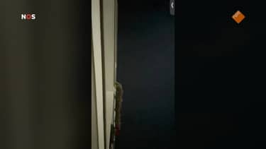 NOS Journaal