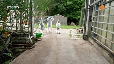 Klik hier om Kindertijd van 17 september te bekijken.