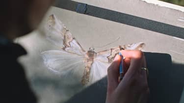 Klik hier om Kijken met Caspers van 1 november te bekijken.