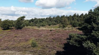 BinnensteBuiten