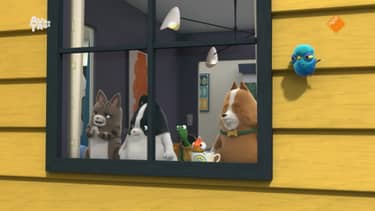 Agent Binky