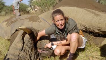 Dierendokter in het wild