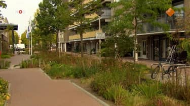 Klik hier om NOS Journaal Regio van 2 oktober te bekijken.