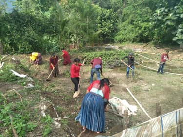 Klik hier om Wilde ganzen van 9 november te bekijken.