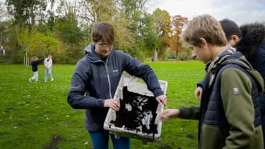 Nederland van binnen
