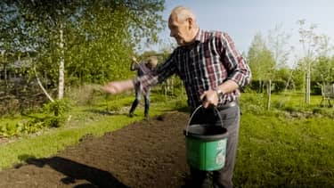 Nederland van binnen