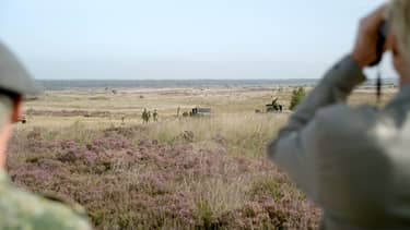 Vroege vogels
