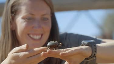 Klik hier om Dierendokter in het wild van 22 november te bekijken.
