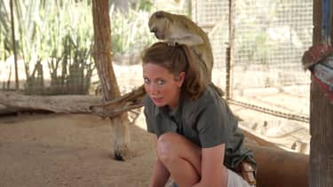 Dierendokter in het wild