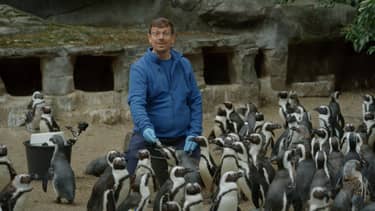 Bij ons in de Dierentuin