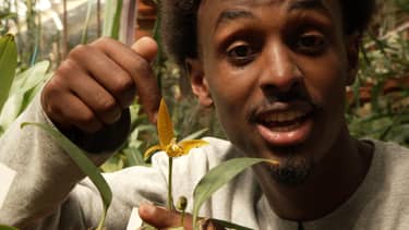 Klik hier om Het klokhuis van 12 november te bekijken.