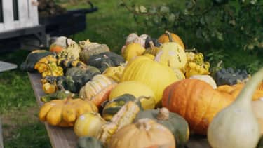 Klik hier om BinnensteBuiten van 14 november te bekijken.