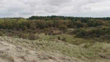 Klik hier om BinnensteBuiten van 18 november te bekijken.