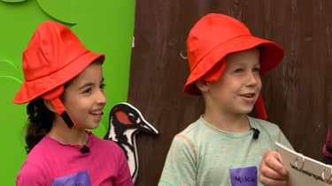 Klik hier om Beestenbrigade battle van 22 november te bekijken.