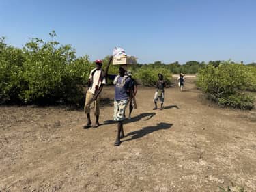 Klik hier om Wilde ganzen van 23 november te bekijken.