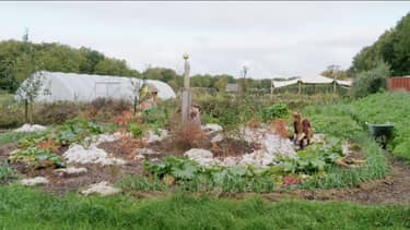 Klik hier om BinnensteBuiten van 25 november te bekijken.