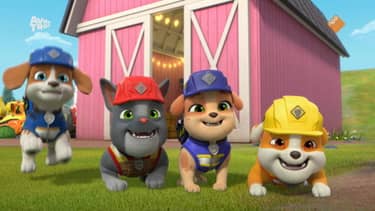 Klik hier om Rubble & Crew van 21 november te bekijken.