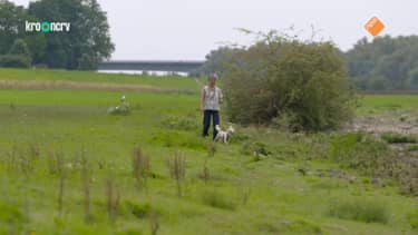 Klik hier om De Boeddhistische Blik van 23 november te bekijken.