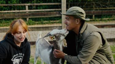 Klik hier om Wilde buren van 30 november te bekijken.