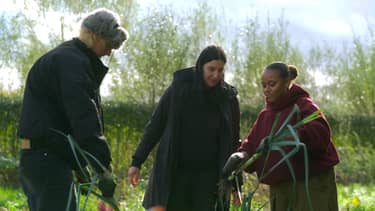 Klik hier om Boerderij van Dorst van 10 december te bekijken.