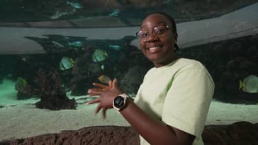 Klik hier om Het klokhuis van 5 december te bekijken.