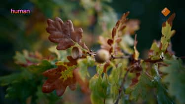 Klik hier om Wat houdt ons tegen? van 3 december te bekijken.