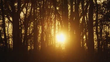 Klik hier om BinnensteBuiten van 9 december te bekijken.