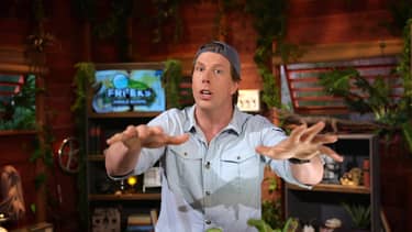 Freeks Jungle School