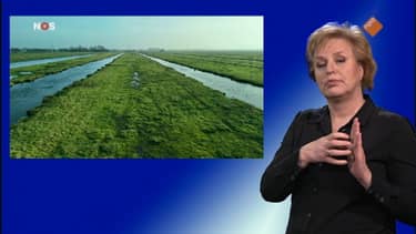Klik hier om NOS Journaal met gebarentaal 20.00 van 12 december te bekijken.