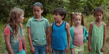 Geitje voor een karweitje