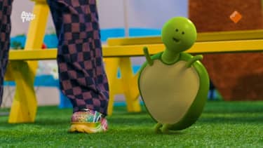 Klik hier om Zin in Zappelin van 12 december te bekijken.