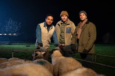 De Kerststal van Nederland