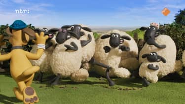 Shaun het schaap