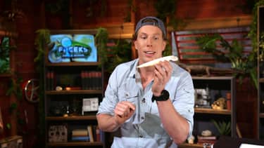 Freeks Jungle School