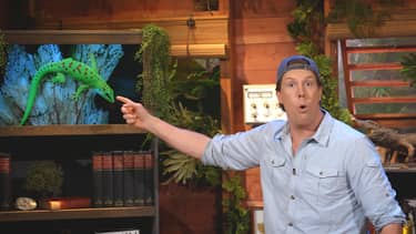 Freeks Jungle School