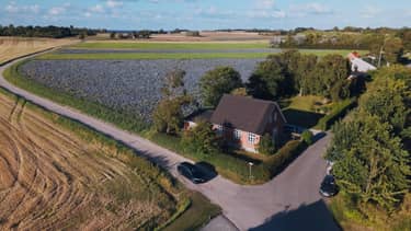 Klik hier om BinnensteBuiten van 21 januari te bekijken.