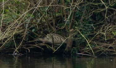 Klik hier om BinnensteBuiten van 23 februari te bekijken.